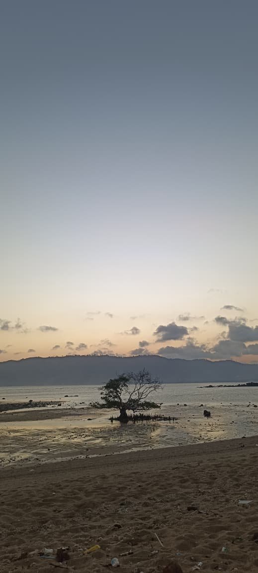 Gili Nanggu Snorkeling